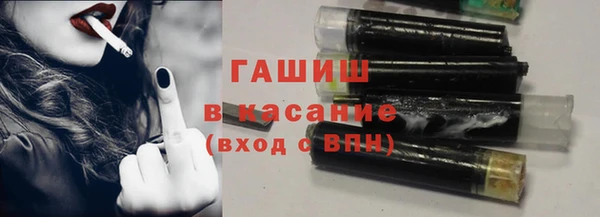 сатива Каменка