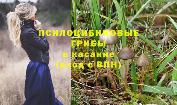 сатива Каменка