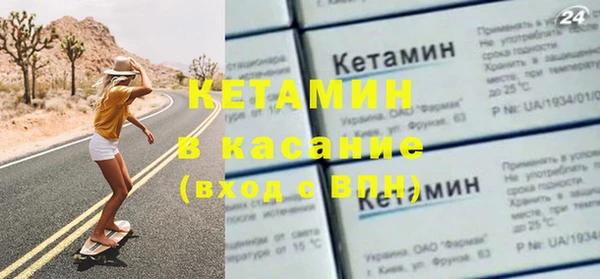 сатива Каменка