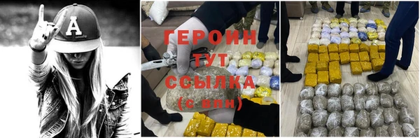 сатива Каменка