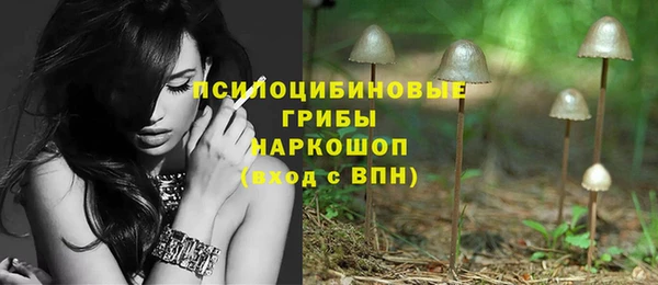 гидропоника Инсар